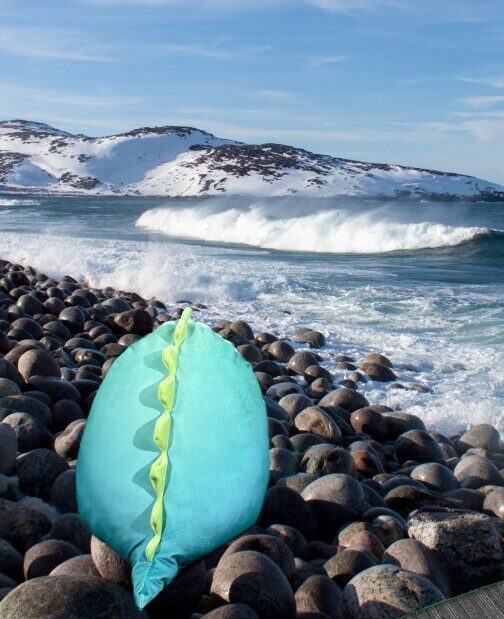 Edmund looking wistfully at the waves